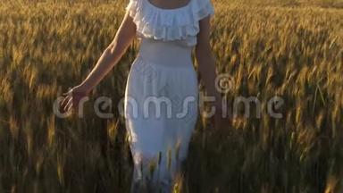 一个女人带着金色的麦子在天空中穿行。有机小麦。一个漂亮的女孩走过田野